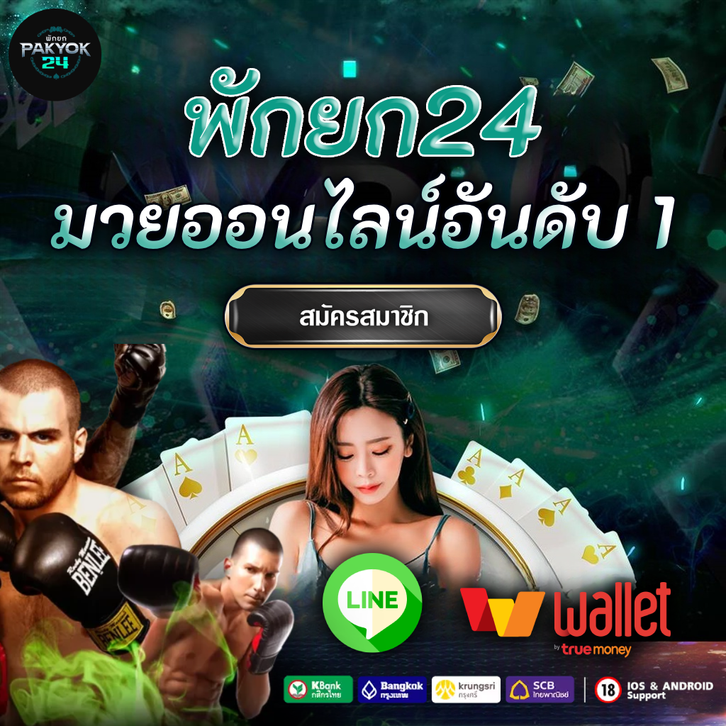 Pakyok24 เว็บตรง อันดับ 1 ของสายมวยไทย แทงง่ายบนมือถือ ปก