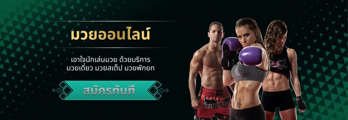 Pakyok เว็บมวยพักยก แทงมวยสด รับบิลไว ราคาน้ำดีที่สุดในไทย ปก