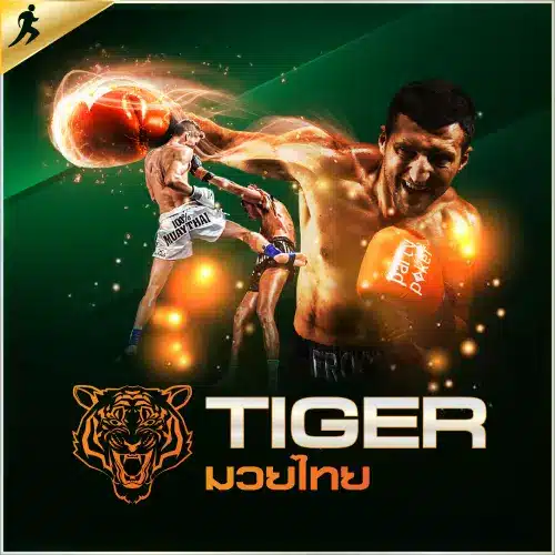 tiger boxing